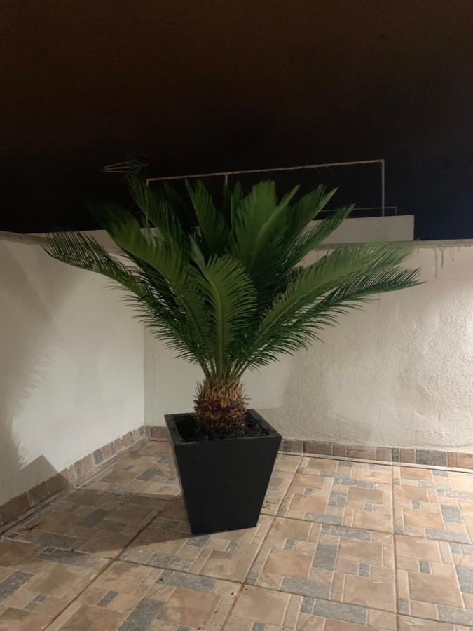 Apartahotel Rosaura Las Palmas de Gran Canaria