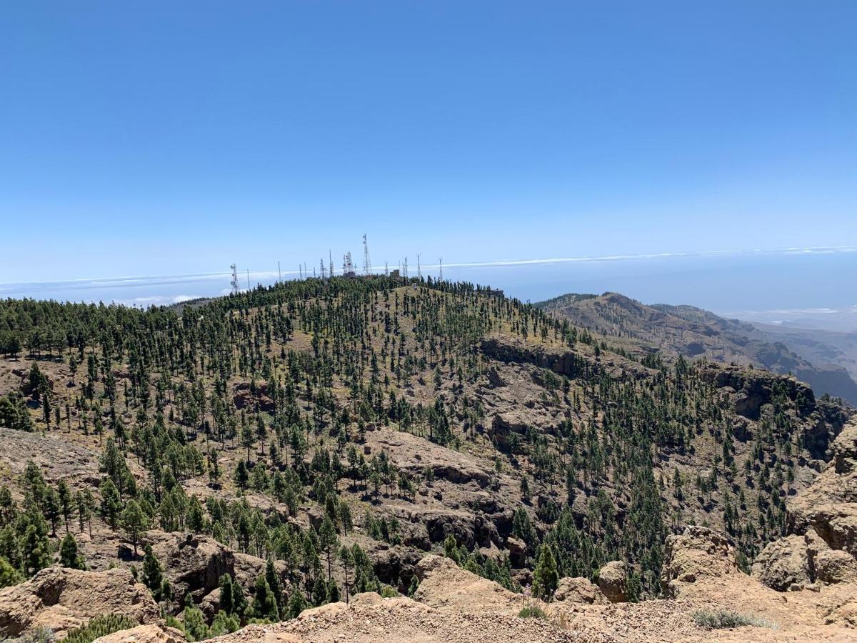 Rosaura * Las Palmas de Gran Canaria